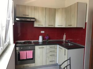 Kuchyň nebo kuchyňský kout v ubytování Apartmani Sanda i Leo