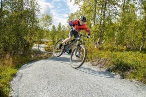 Jízda na kole v ubytování Fosskamben 1 Moderne hytte ikkje langt frå Sogndal nebo okolí