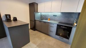Kuchyň nebo kuchyňský kout v ubytování Apartmány Jura