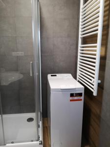 a small white refrigerator in a bathroom with a shower at Fine apartment in centrum of Slaný with Aircondition in Slaný