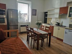 Kuchyň nebo kuchyňský kout v ubytování Fine apartment in centrum of Slaný with Aircondition