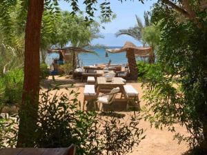 a group of tables and chairs on the beach at Nakhil Inn Nuweiba in Nuweiba