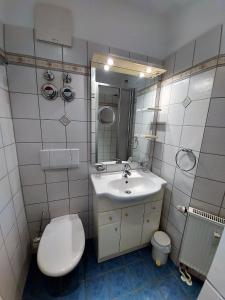 a bathroom with a white toilet and a sink at Das Landhaus am Haff B10 in Stolpe