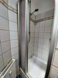 a shower with a glass door in a bathroom at Das Landhaus am Haff B10 in Stolpe