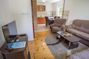 a living room with a couch and a tv at Apartments Dedeic in Žabljak