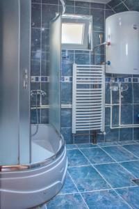 een badkamer met een toilet en een glazen douche bij Apartments Dedeic in Žabljak