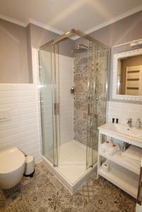uma casa de banho com um chuveiro, um WC e um lavatório. em Rezidence U prince č.1 em Jičín