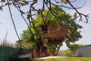 una casa sull'albero in mezzo a un cortile di Casa sull'Albero Treehouse Costa dei Trabocchi a Torino di Sangro