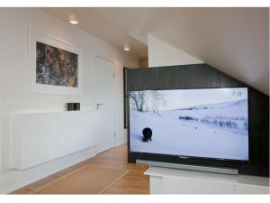 TV tai viihdekeskus majoituspaikassa Torg Guest House