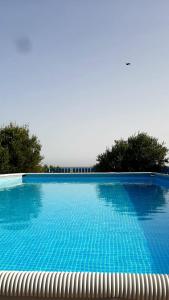 a large blue swimming pool with trees in the background at Baglio Del Sole in San Vito lo Capo