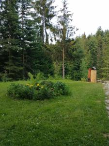 Garður fyrir utan Paradiso Zlatar 3