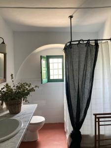 y baño con cortina de ducha y aseo. en Casa Rural Finca Buytrón en Montilla