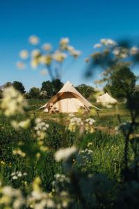a large tan tent in a field of flowers at The Quaives - Cottages & Glamping in Canterbury