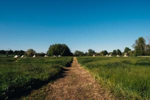 Gallery image of The Quaives - Cottages & Glamping in Canterbury