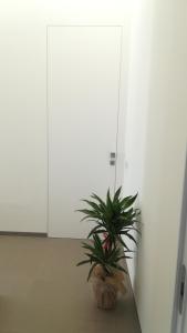 Mynd úr myndasafni af Casa Umeli í Marsala