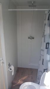 a white bathroom with a shower and a toilet at GLAMTAINER COURT in Curteni