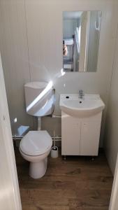 ein Badezimmer mit einem WC, einem Waschbecken und einem Spiegel in der Unterkunft GLAMTAINER COURT in Curteni