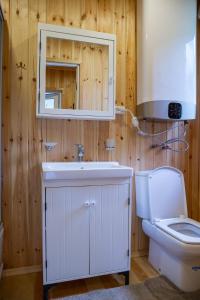 a bathroom with a toilet and a sink and a mirror at Айбарка in Uznezya