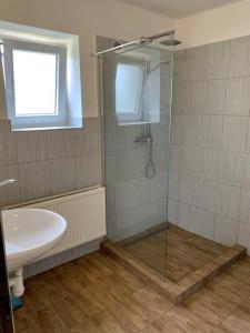 ein Bad mit einer Dusche und einem Waschbecken in der Unterkunft Apartmán Bušín in Busin