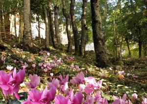 Gallery image of La Meridiana House in Monterenzio +48 photos
