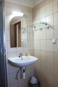 a bathroom with a sink and a mirror at U Cibuľov No 37 in Bešeňová