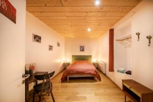 une chambre avec un lit et un bureau dans une pièce dans l'établissement Flow Hostel - un cocon au cœur de Metz, à Metz