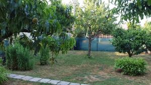 Zahrada ubytování Ilona apartmanok