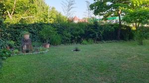 Zahrada ubytování Ilona apartmanok