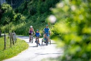 Majutusasutuse Familienhotel Felsenhof külastajad
