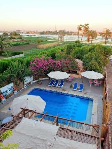 an overhead view of a swimming pool with umbrellas and chairs at Nile Compound in Luxor