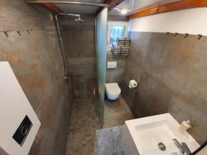 W łazience znajduje się prysznic, umywalka i toaleta. w obiekcie Ferienhaus Am See w mieście Hungen