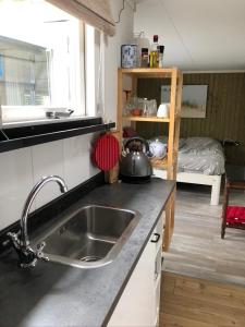 ZuidoostbeemsterにあるBeemster Tiny Houseのキッチン(シンク付)、キッチン(ベッド1台付)