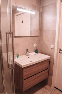 ein Bad mit einem Waschbecken und einer Dusche mit einem Spiegel in der Unterkunft Friese Hoeve Sneek in Sneek