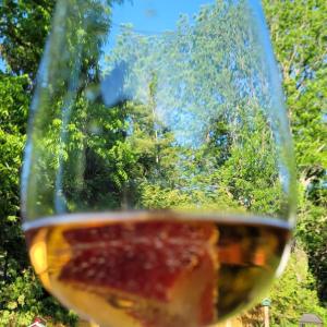 een glas rode wijn met bomen op de achtergrond bij La Maison de Sophie in Niagara on the Lake