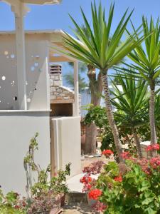 Gallery image of Sunshine in Naxos Chora