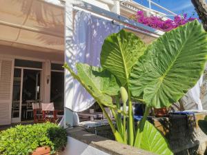 A garden outside Casa de la Luna