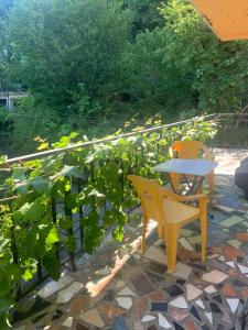 Zahrada ubytování Guest house polaris