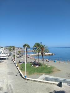 una playa con gente, palmeras y el océano en Apartments-OILAN11 - Estudios en primera línea de playa PEDREGALEJO, en Málaga