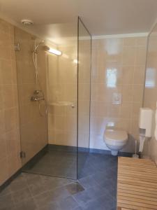 a bathroom with a shower and a toilet at Camp Sjusjøen in Mesnali