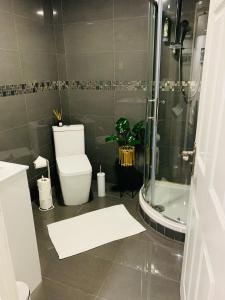 La salle de bains est pourvue d'une douche et de toilettes. dans l'établissement Cosy 2 bedrooms apartment in Birmingham, à Birmingham