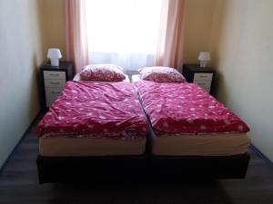 Łóżko lub łóżka w pokoju w obiekcie Apartmán Abertamy Krušné hory