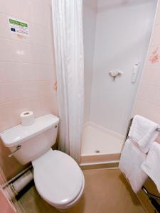 a bathroom with a white toilet and a shower at Redwings Lodge Sawtry Huntingdon in Sawtry