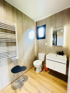 a bathroom with a toilet and a sink and a mirror at Cabane de Rafael in Vittel