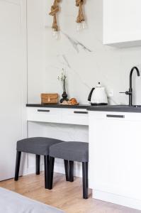 Kuchyňa alebo kuchynka v ubytovaní Willa MAJA Relax pod Giewontem APARTZAKOP