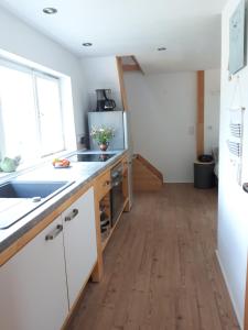 eine Küche mit einer Spüle und einem Kühlschrank in der Unterkunft Villa Sonja in Kurort Altenberg