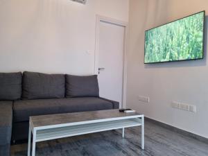 a living room with a couch and a tv on a wall at Kamaroporta Luxury Apartments in Ayios Theodhoros