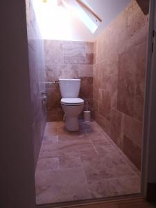 ein Bad mit einem weißen WC in einem Zimmer in der Unterkunft Duplex avec terrasse lumineux proche vieux bassin in Honfleur