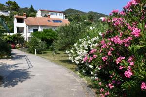 Vonkajšia záhrada v ubytovaní Apartmani Zdenka 1