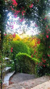 A garden outside Wolfgangsee Appartment