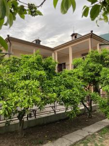 a house with trees in front of it at Karina in Gagra